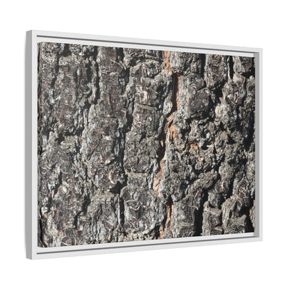 Aged Beauty - Unique Stretched Canvas Wall Art - Art By Earth