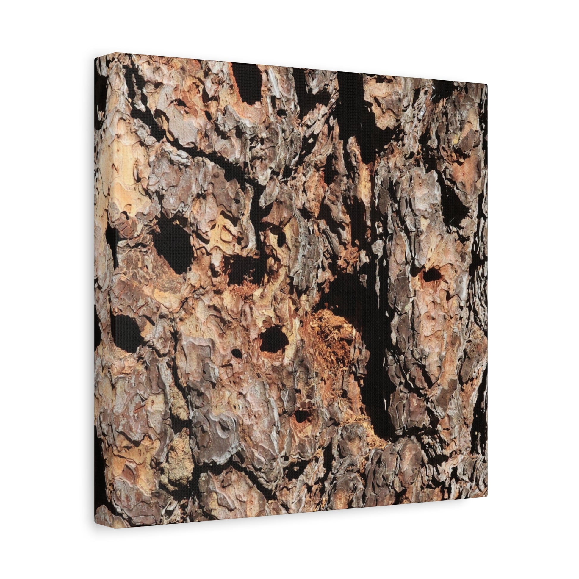 Tree Bark Mosaic - Unique Frameless Canvas Wall Art - Art By Earth