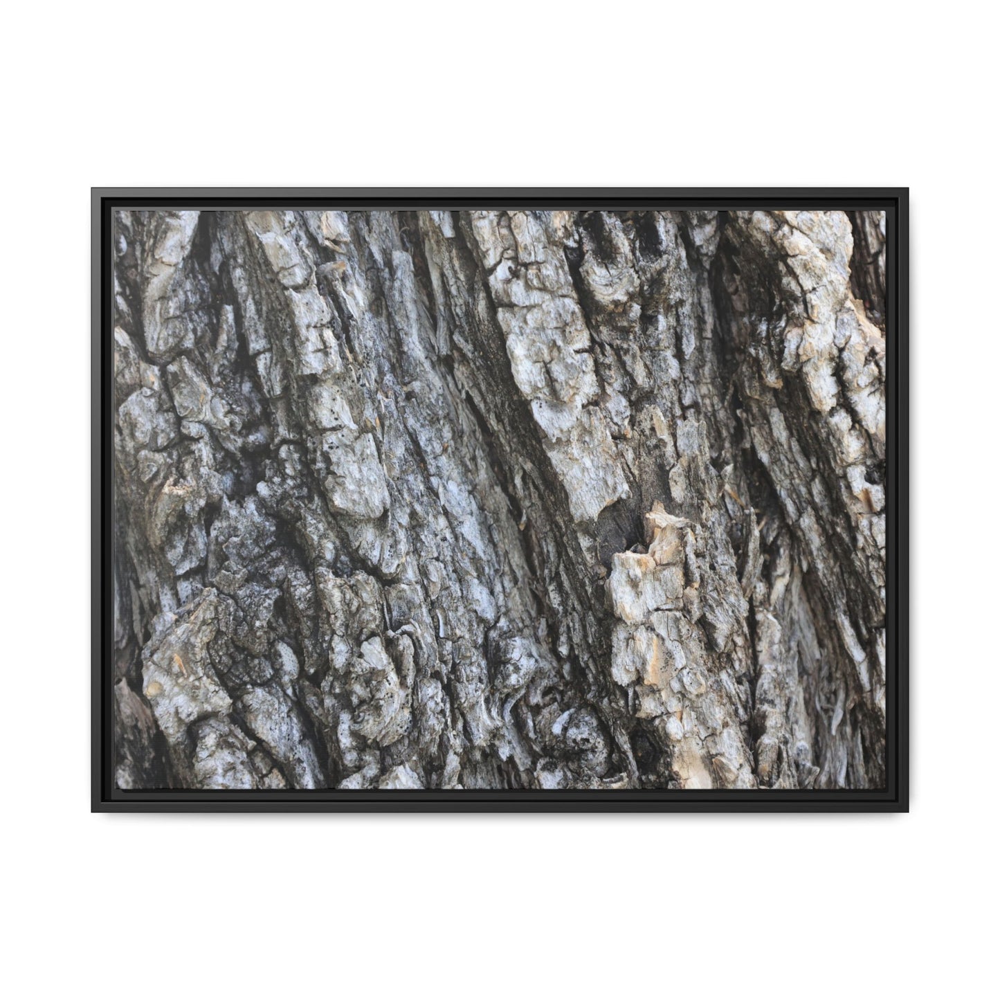 Twisted Textures - Unique Stretched Canvas Wall Art - Art By Earth