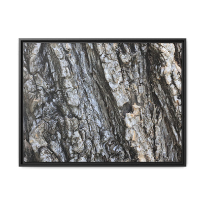 Twisted Textures - Unique Stretched Canvas Wall Art - Art By Earth