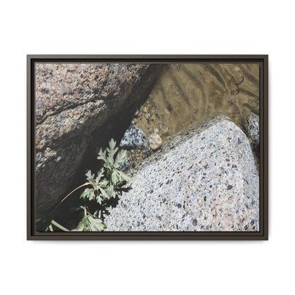 Resilience in Stone - Unique Stretched Canvas Wall Art - Art By Earth
