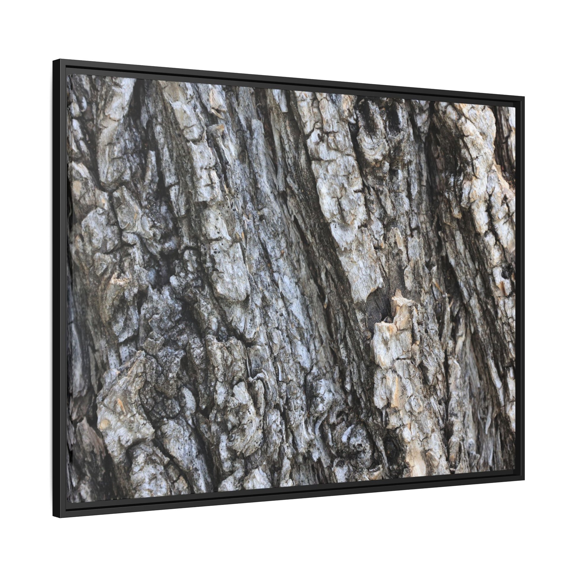 Twisted Textures - Unique Stretched Canvas Wall Art - Art By Earth