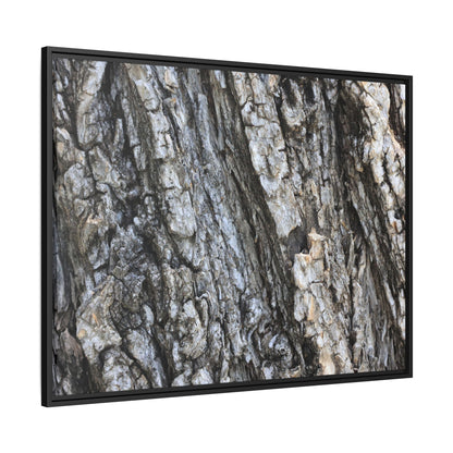 Twisted Textures - Unique Stretched Canvas Wall Art - Art By Earth