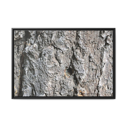 Crusty Exterior - Unique Stretched Canvas Wall Art - Art By Earth