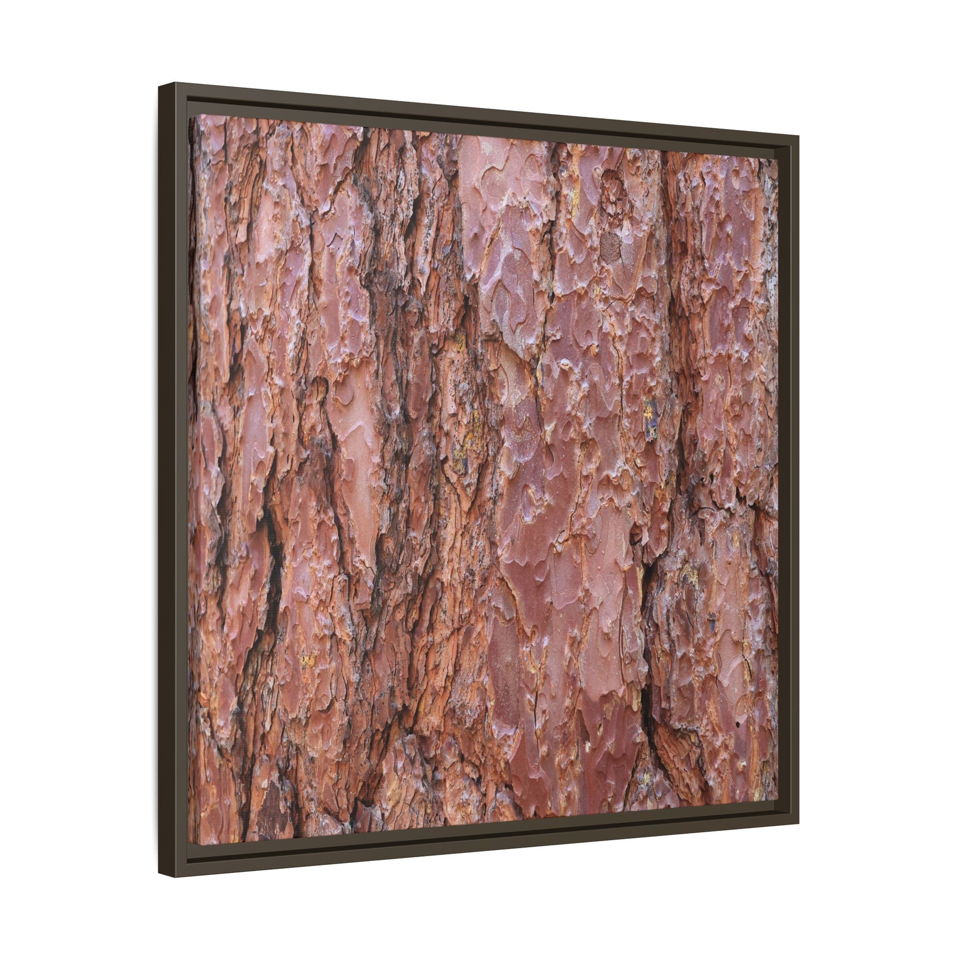 Russet Ridges - Unique Stretched Canvas Wall Art - Art By Earth