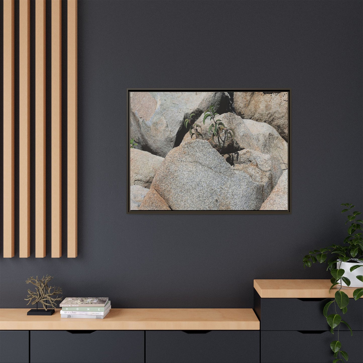 Desert Plant Thriving Among Rocks - Unique Stretched Canvas Wall Art