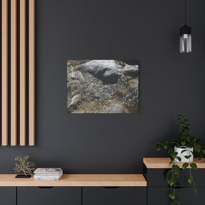 Rocky Stream - Unique Frameless Canvas Wall Art - Art By Earth