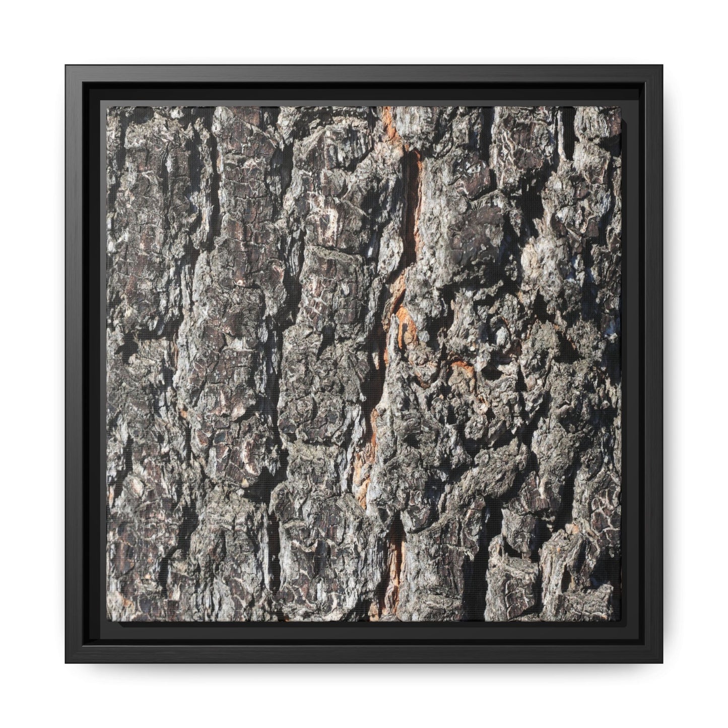 Aged Beauty - Unique Stretched Canvas Wall Art - Art By Earth