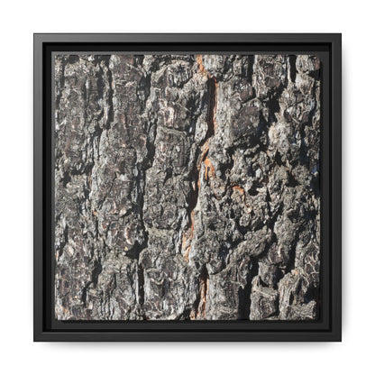 Aged Beauty - Unique Stretched Canvas Wall Art - Art By Earth