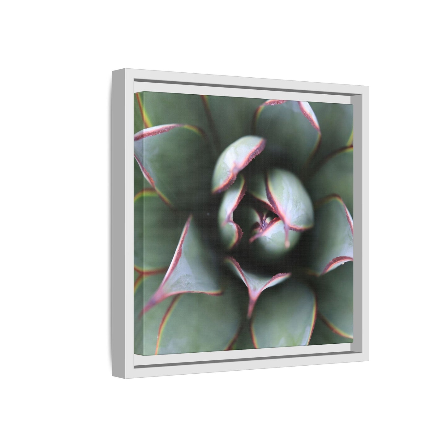 Spiky Elegance - Unique Stretched Canvas Wall Art - Art By Earth