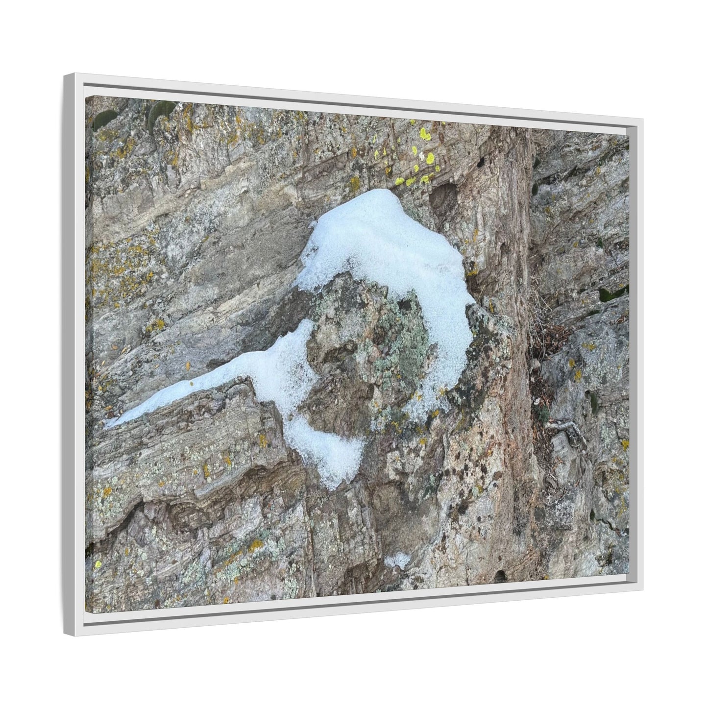 Lichen's Embrace - Unique Stretched Canvas Wall Art