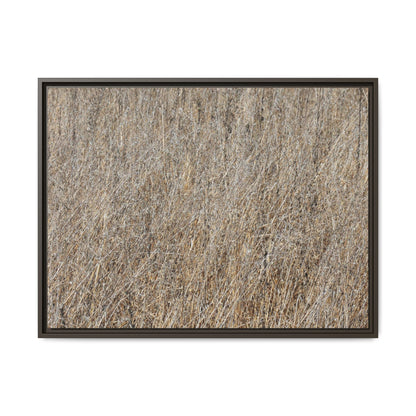 Dry Straw Symphony - Unique Stretched Canvas Wall Art - Art By Earth