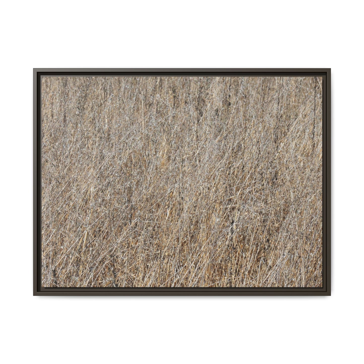 Whispers of Straw - Unique Stretched Canvas Wall Art - Art By Earth