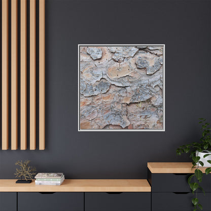 Peeling Memories - Unique Stretched Canvas Wall Art - Art By Earth