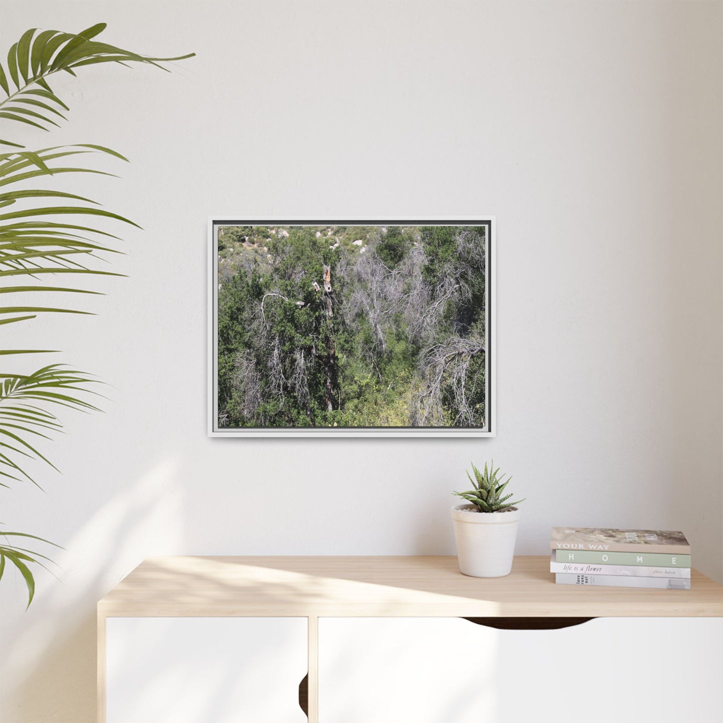Forest Decline - Unique Stretched Canvas Wall Art