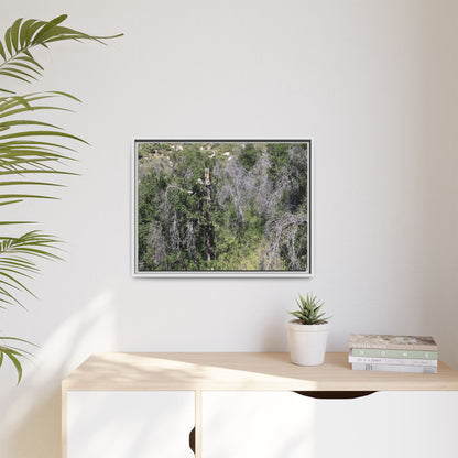 Forest Decline - Unique Stretched Canvas Wall Art