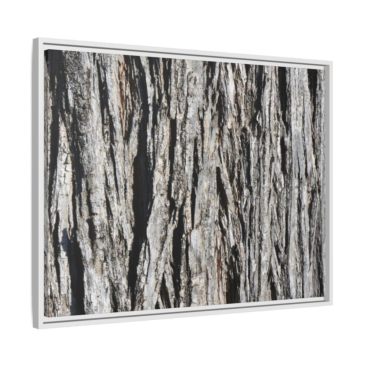 Nature's Abstract - Unique Stretched Canvas Wall Art - Art By Earth