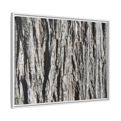 Nature's Abstract - Unique Stretched Canvas Wall Art - Art By Earth
