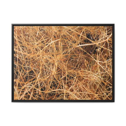 Dried Grass - Unique Stretched Canvas Wall Art - Art By Earth