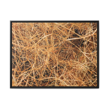 Dried Grass - Unique Stretched Canvas Wall Art - Art By Earth