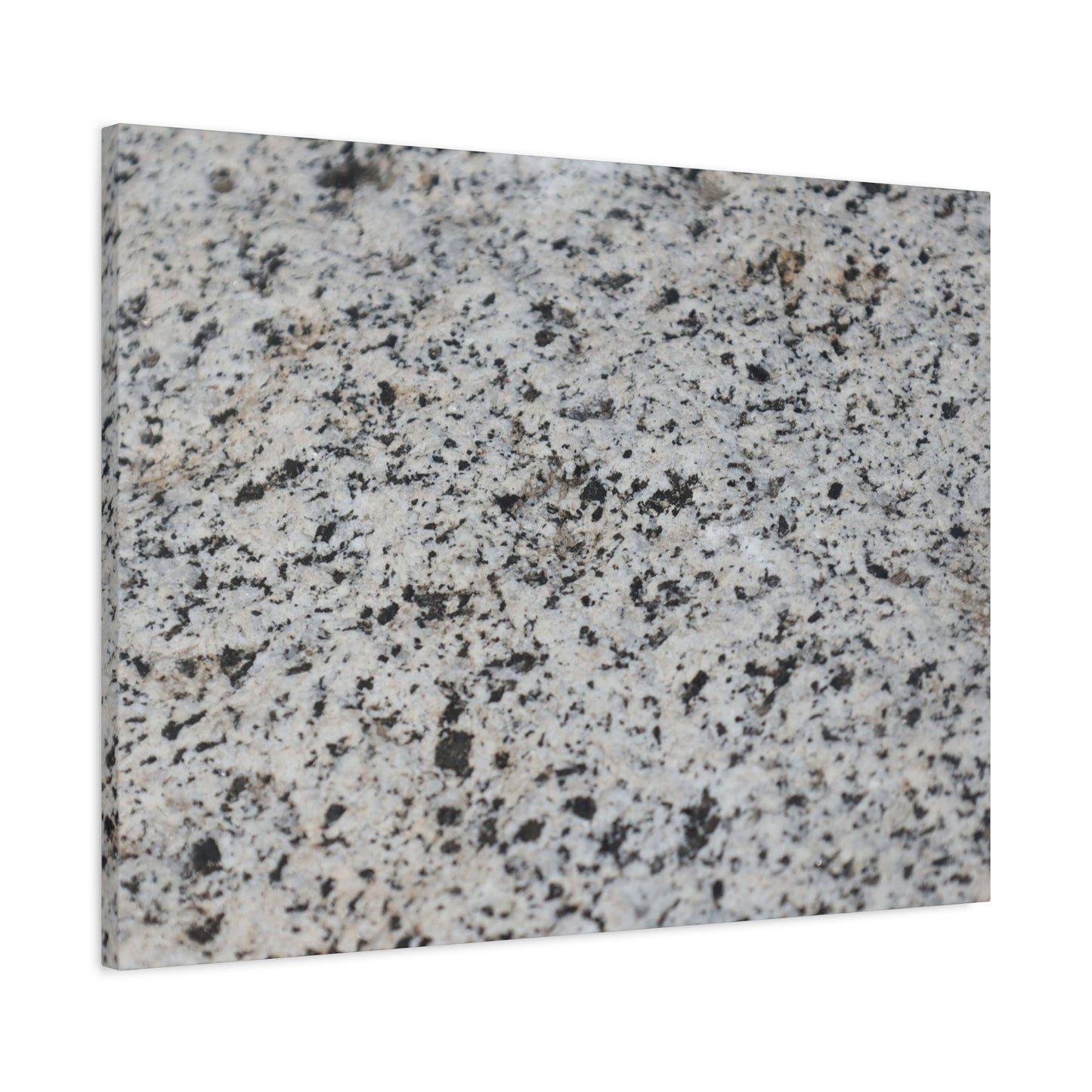 Speckled Silence - Unique Frameless Canvas Wall Art - Art By Earth