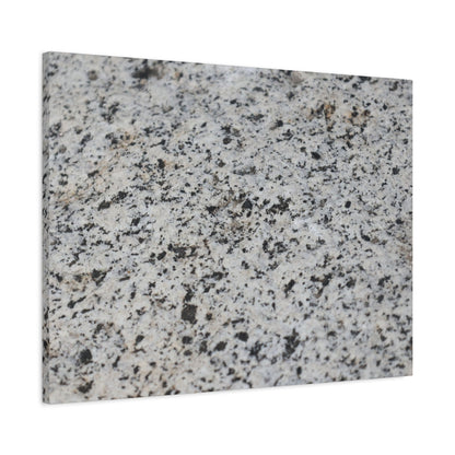 Speckled Silence - Unique Frameless Canvas Wall Art - Art By Earth