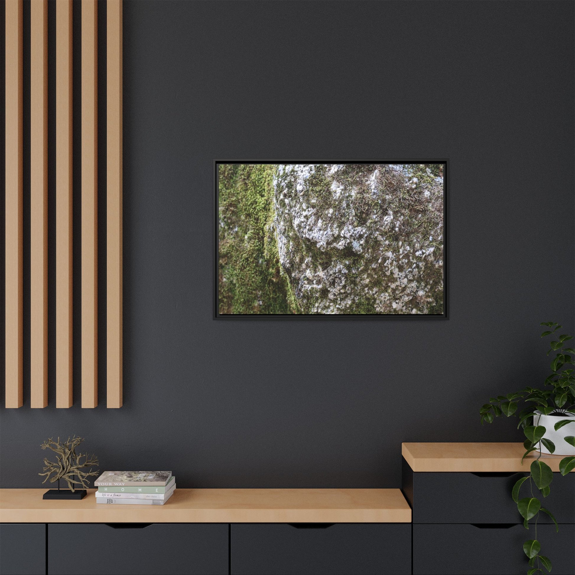 Lichen Landscape - Unique Stretched Canvas Wall Art - Art By Earth