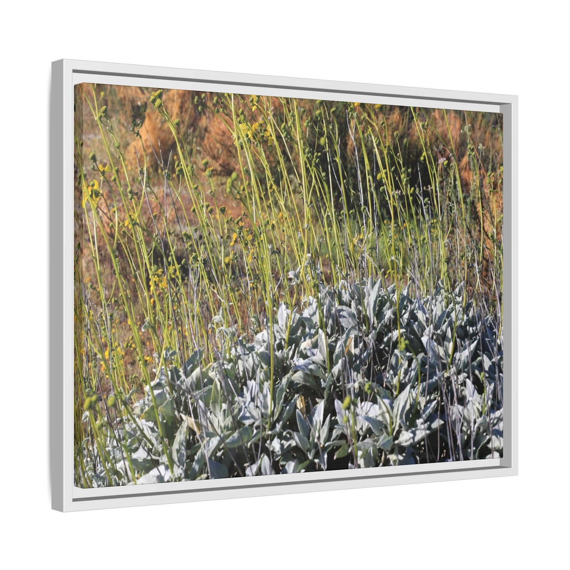 Arid Landscape with Yellow Flowers - Unique Stretched Canvas Wall Art - Art By Earth