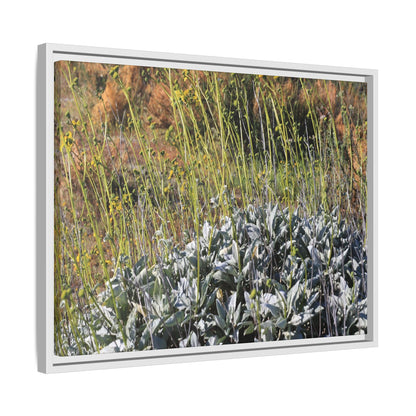 Arid Landscape with Yellow Flowers - Unique Stretched Canvas Wall Art - Art By Earth