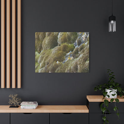 Verdant Stone Symphony - Unique Frameless Canvas Wall Art