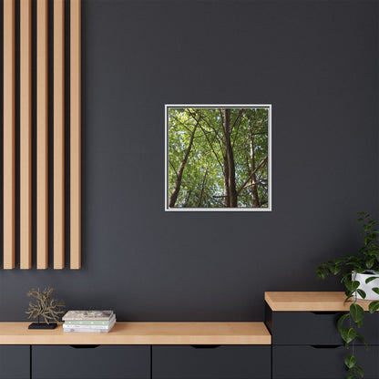 Forest Branches - Unique Stretched Canvas Wall Art
