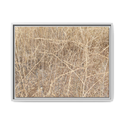 Golden Stalks - Unique Stretched Canvas Wall Art - Art By Earth