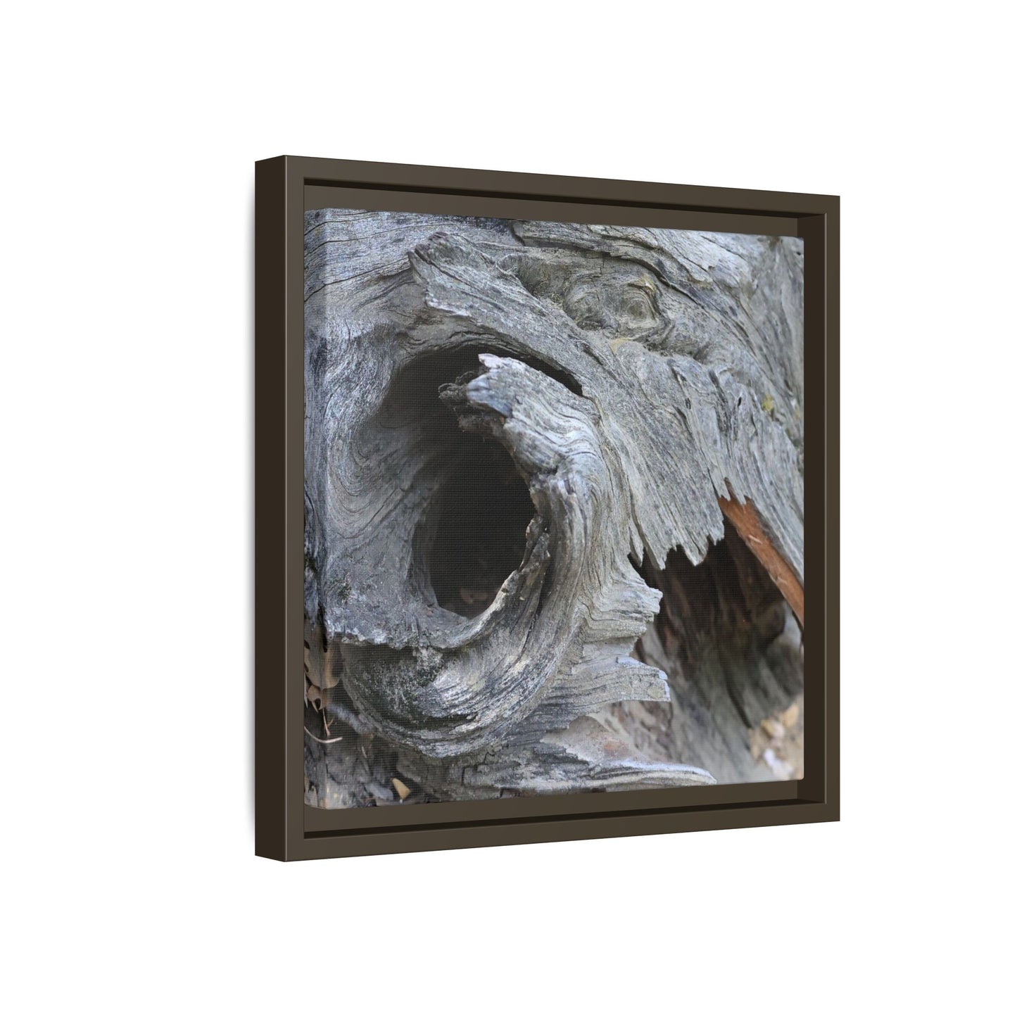 Bark's Labyrinth - Unique Stretched Canvas Wall Art - Art By Earth