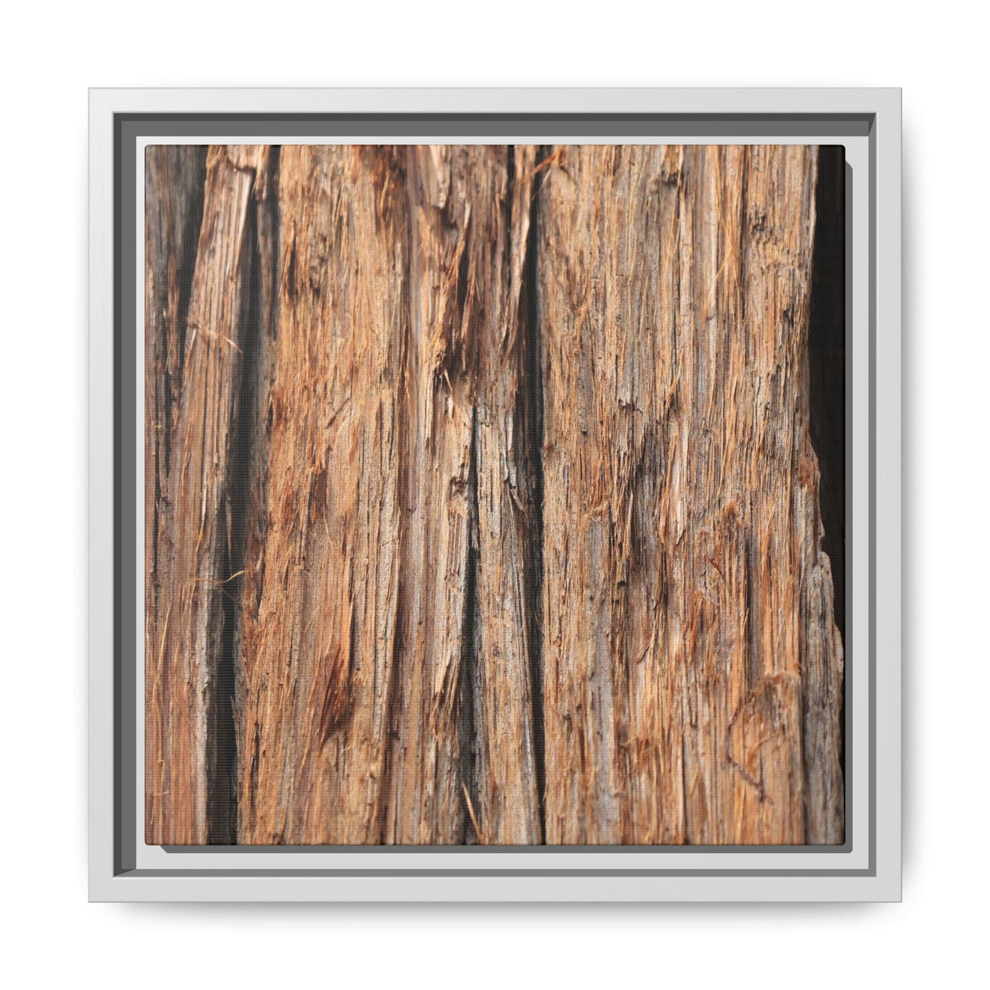 Timber Echoes - Unique Stretched Canvas Wall Art - Art By Earth