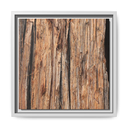 Timber Echoes - Unique Stretched Canvas Wall Art - Art By Earth