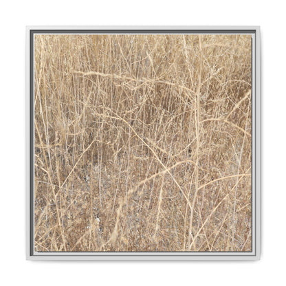 Golden Stalks - Unique Stretched Canvas Wall Art - Art By Earth