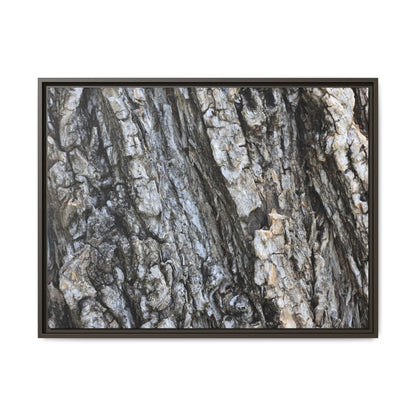 Twisted Textures - Unique Stretched Canvas Wall Art - Art By Earth