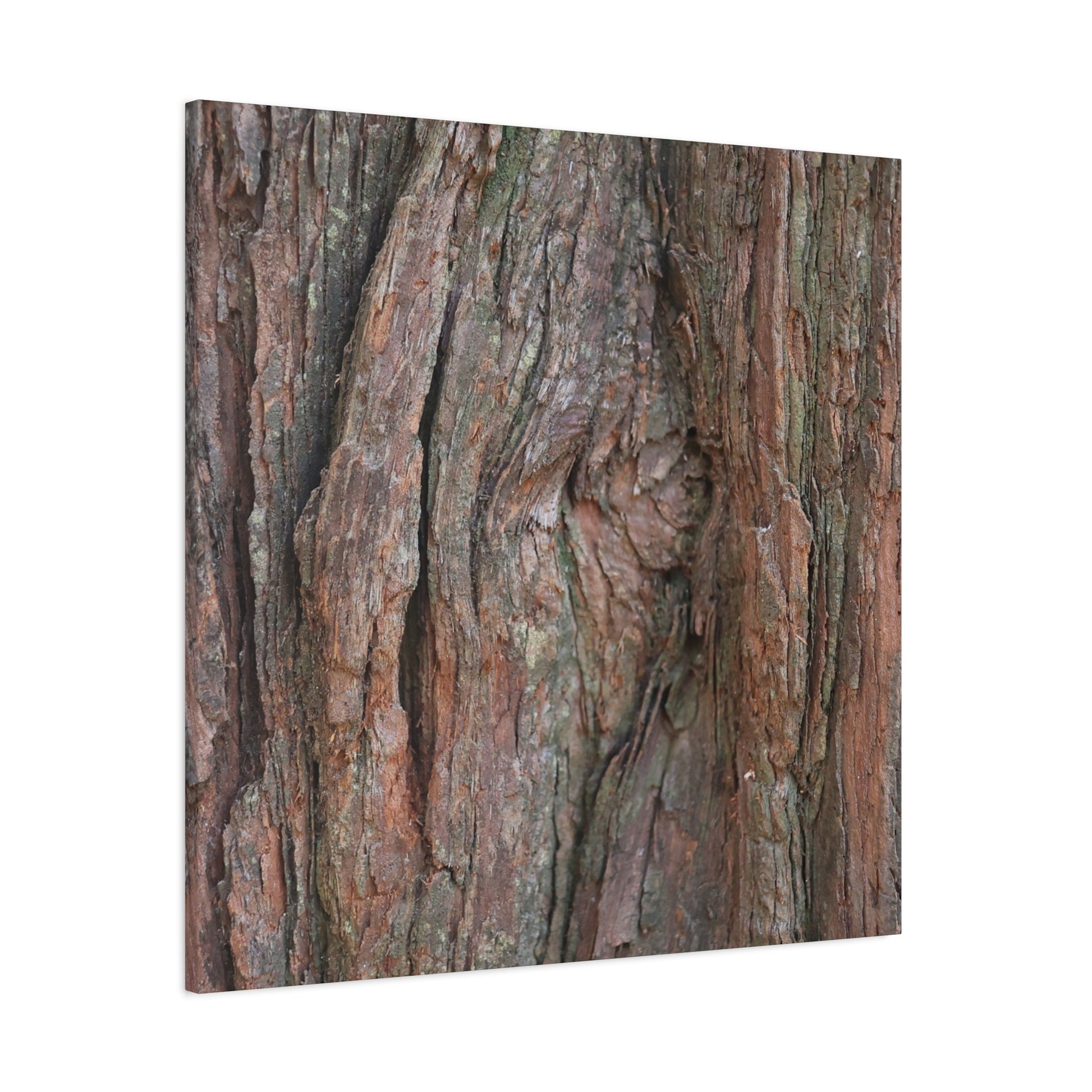 Rustic Embrace - Unique Frameless Canvas Wall Art - Art By Earth