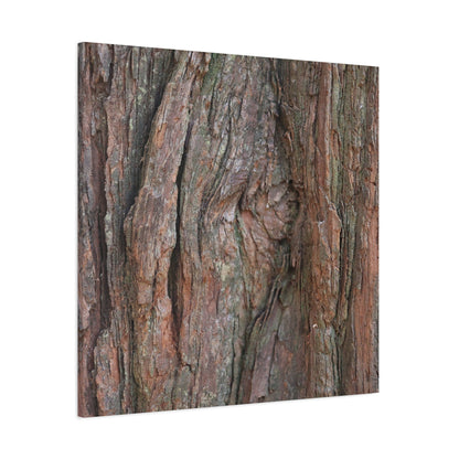 Rustic Embrace - Unique Frameless Canvas Wall Art - Art By Earth