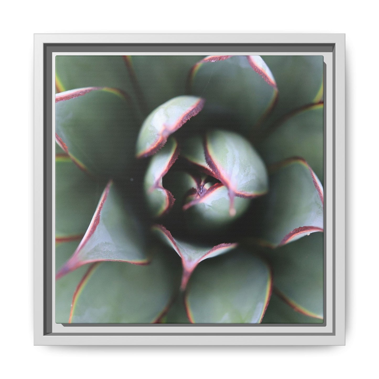 Spiky Elegance - Unique Stretched Canvas Wall Art - Art By Earth