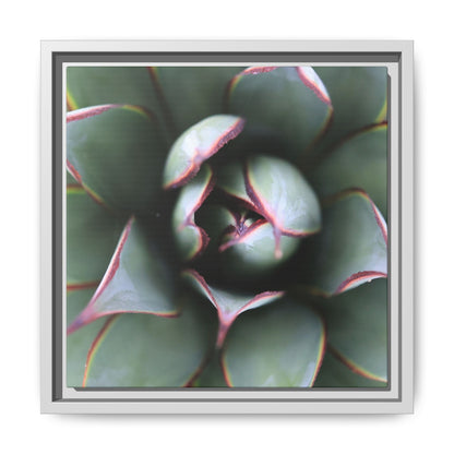 Spiky Elegance - Unique Stretched Canvas Wall Art - Art By Earth