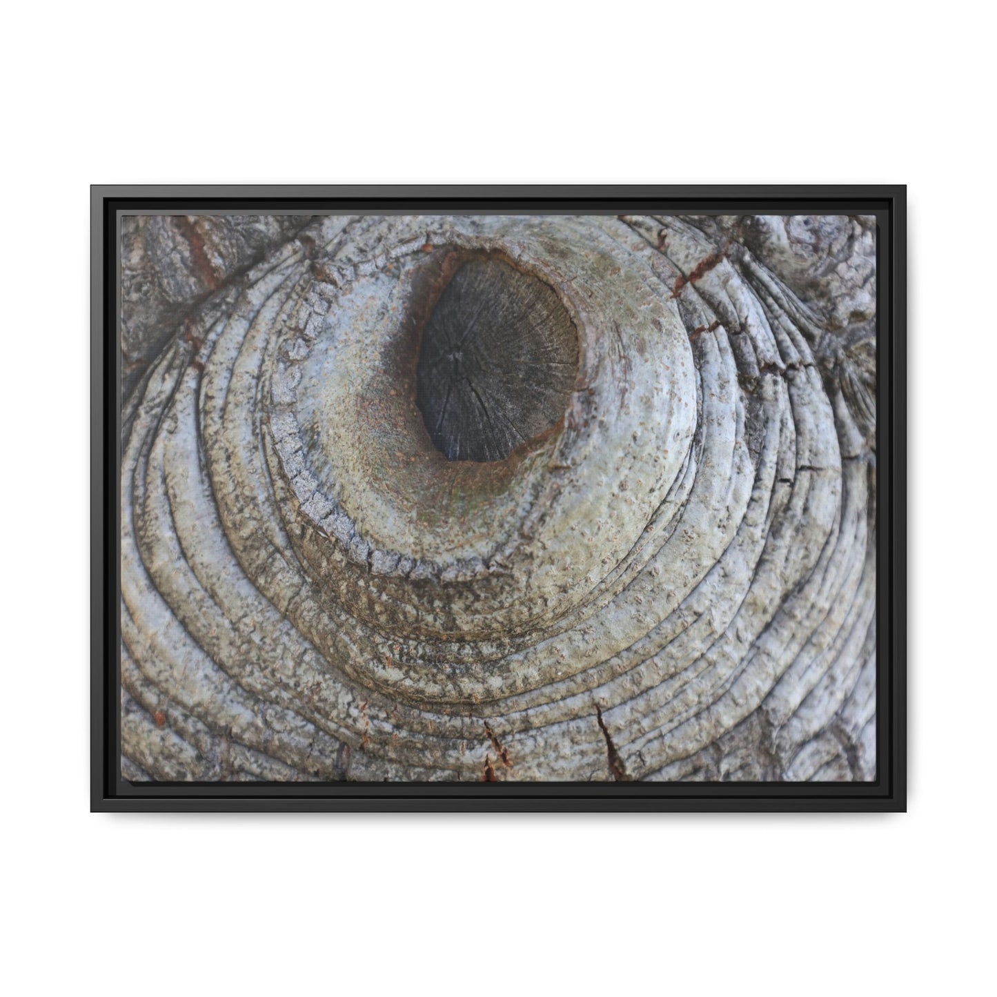 Echoes of Time - Unique Stretched Canvas Wall Art - Art By Earth