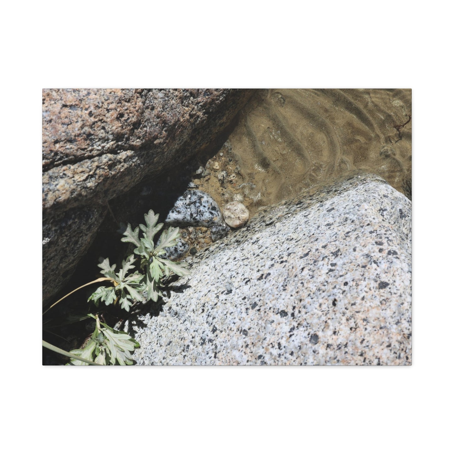 Between Stone and Sand - Unique Frameless Canvas Wall Art - Art By Earth