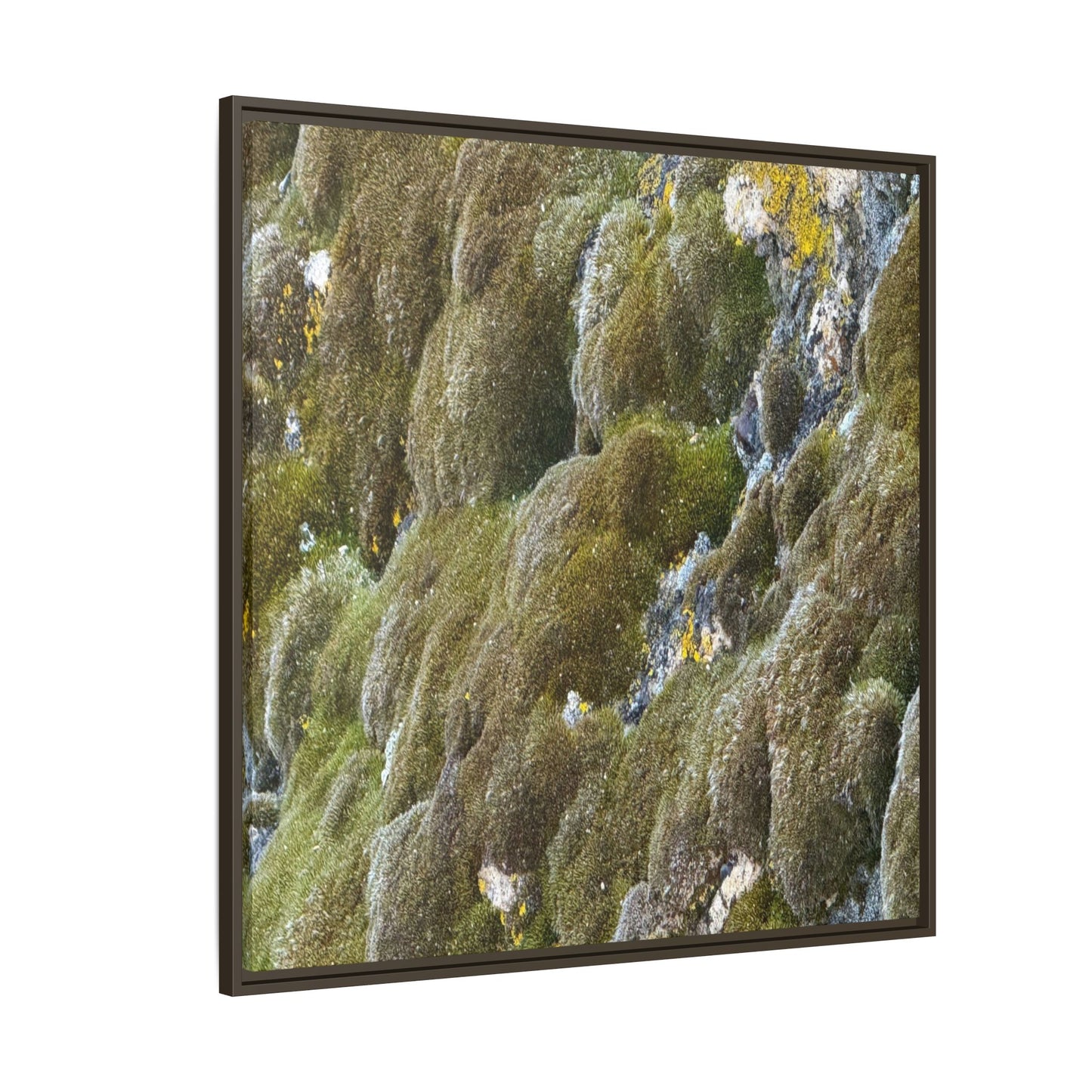 Moss Symphony - Unique Stretched Canvas Wall Art