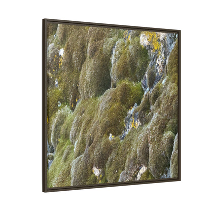 Moss Symphony - Unique Stretched Canvas Wall Art