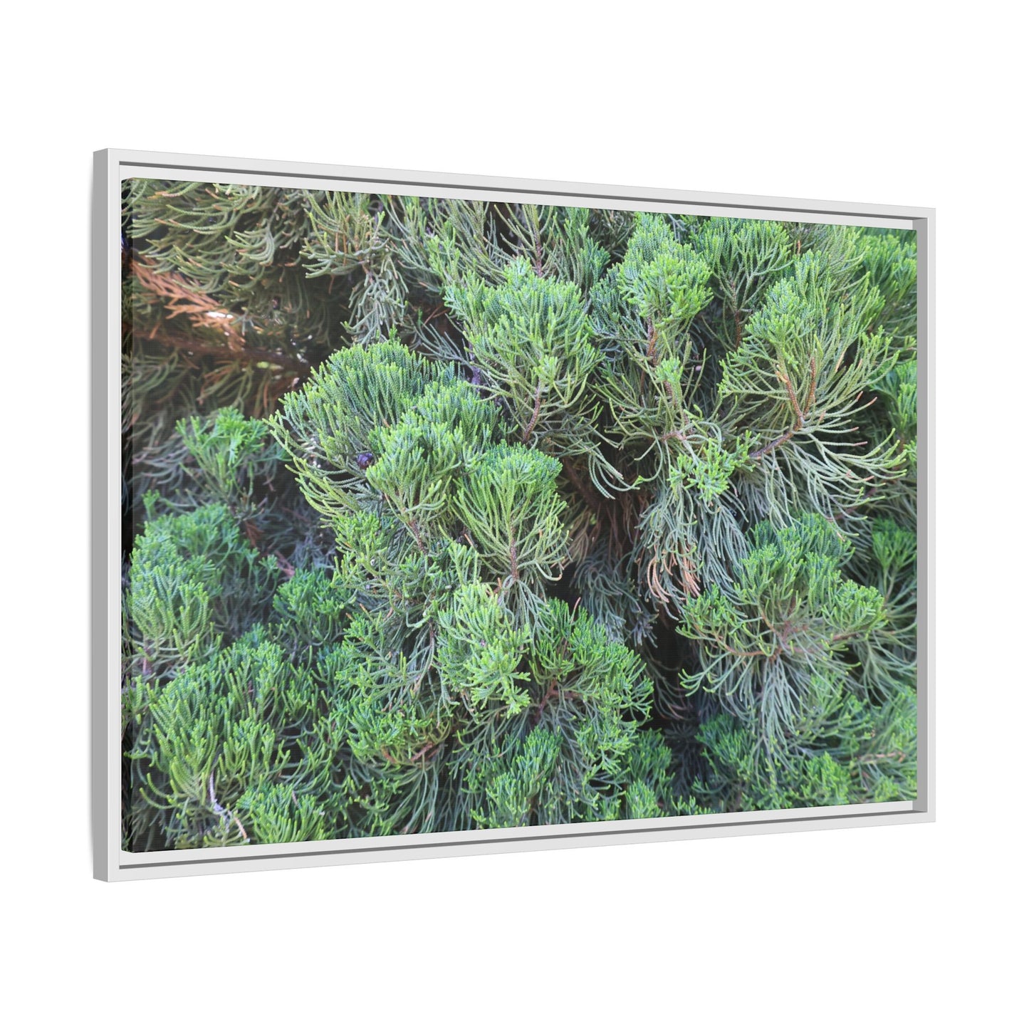 Verdant Whispers - Unique Stretched Canvas Wall Art - Art By Earth