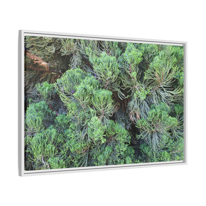 Verdant Whispers - Unique Stretched Canvas Wall Art - Art By Earth