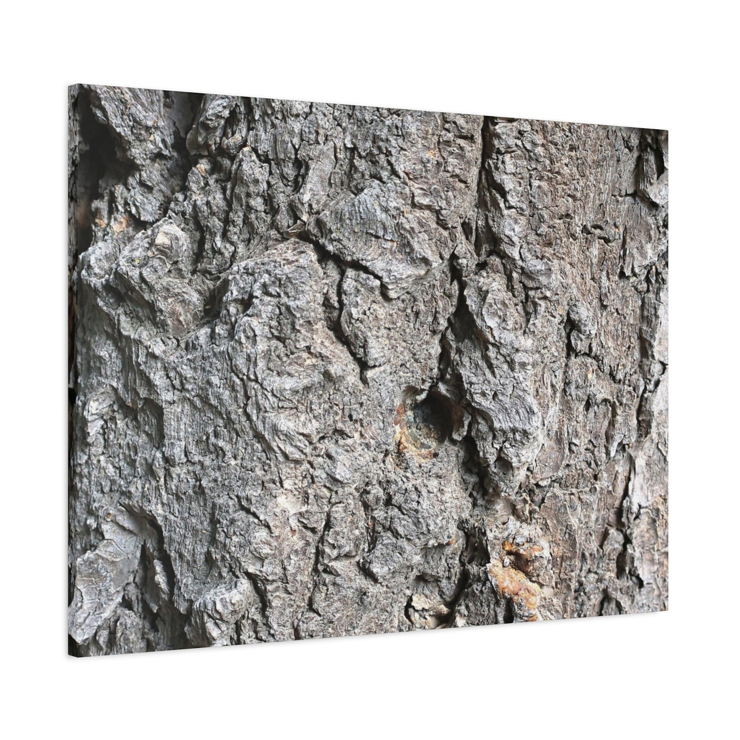 Elemental Canvas - Unique Frameless Canvas Wall Art - Art By Earth