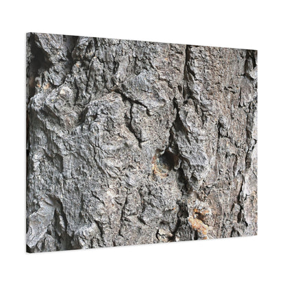 Elemental Canvas - Unique Frameless Canvas Wall Art - Art By Earth