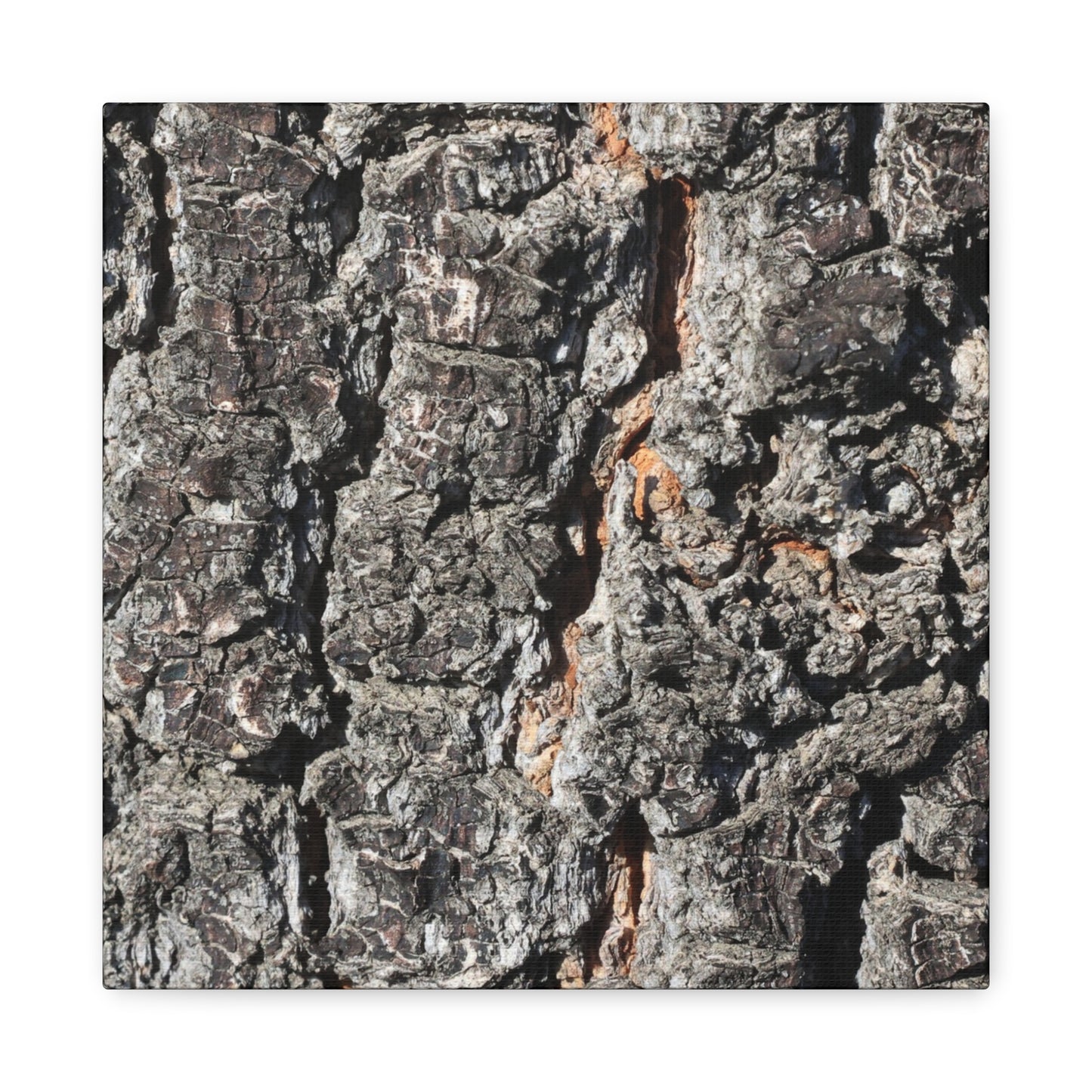 Arboreal Skin - Unique Frameless Canvas Wall Art - Art By Earth